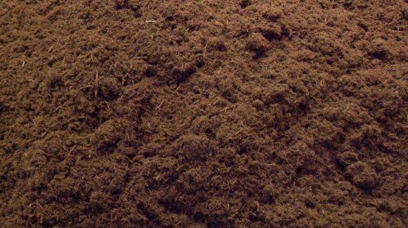 Close-up view of colored wood fiber