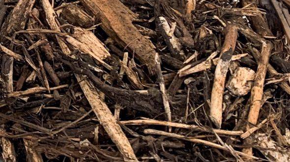 Close-up view of compost