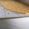 Gravity Separator and Optical Sorting Gravity Separator and Optical Sorting
