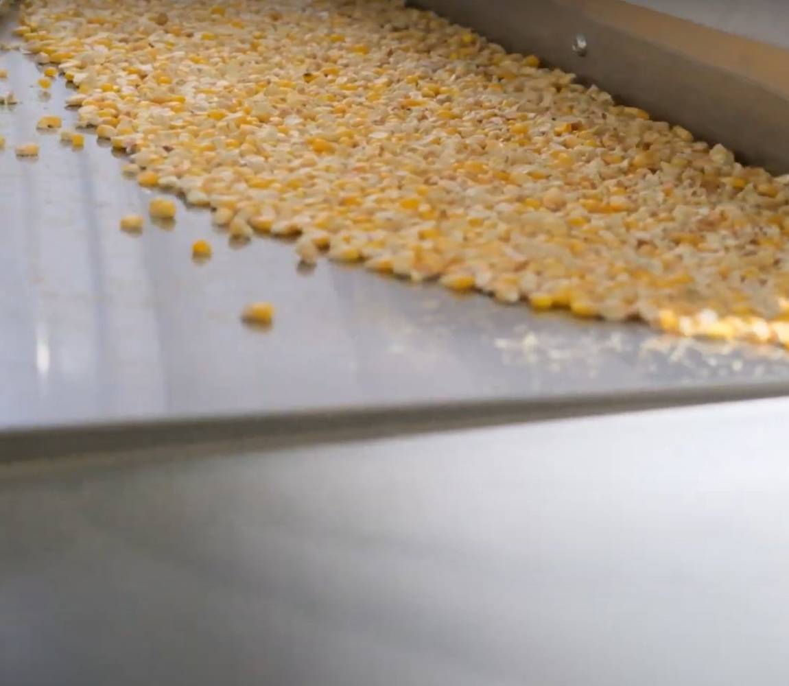 Gravity Separator and Optical Sorting Gravity Separator and Optical Sorting