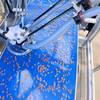 SCP-2100 Robotic Nut Sorter