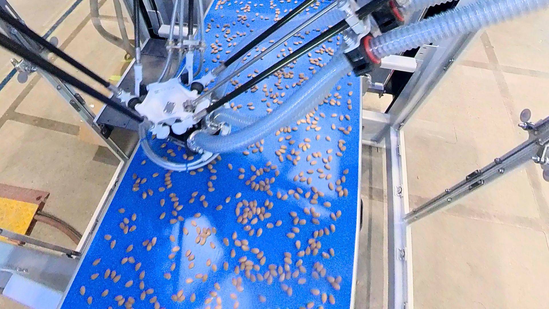 SCP-2100 Robotic Nut Sorter