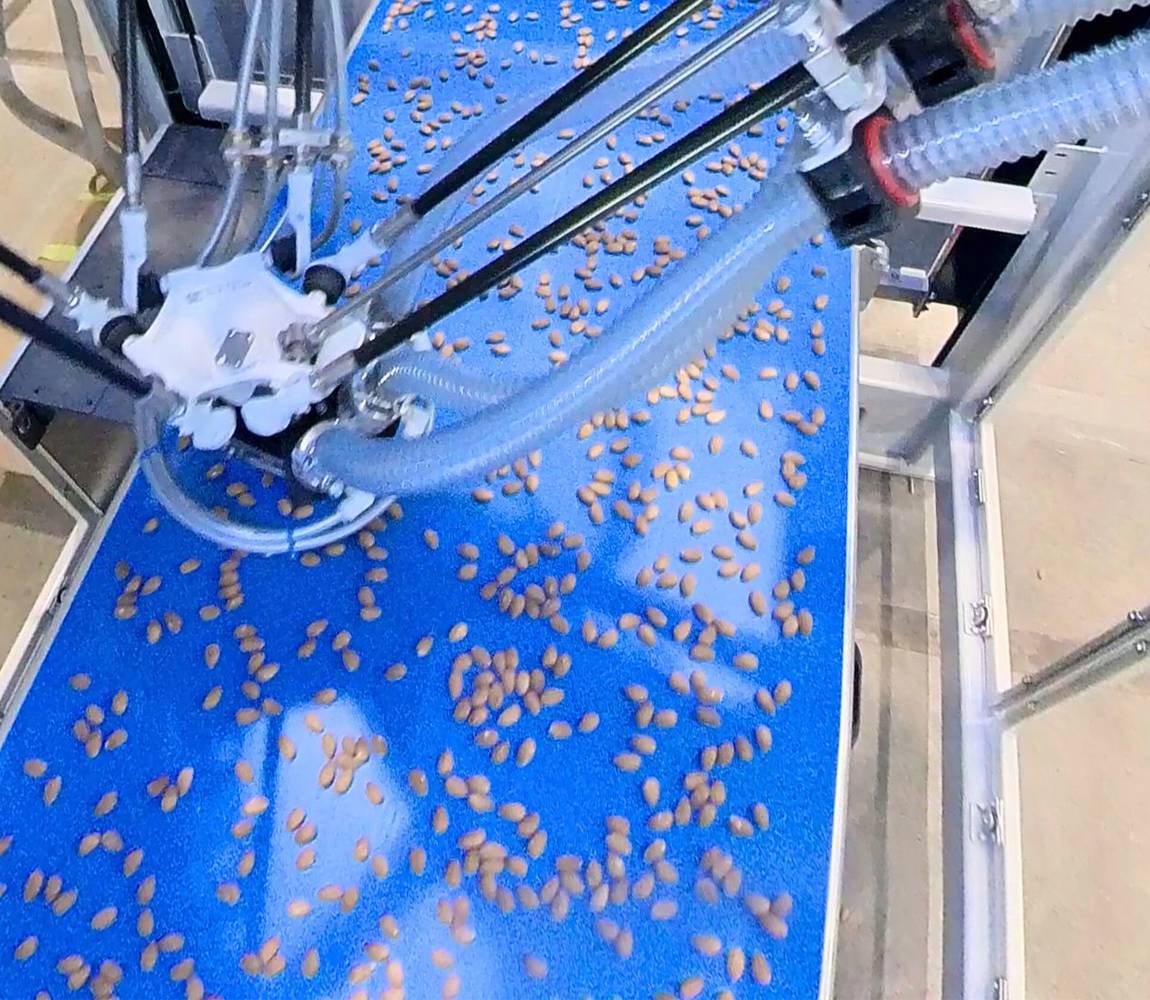 SCP-2100 Robotic Nut Sorter