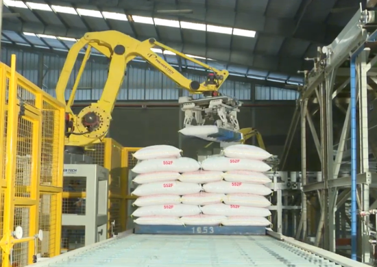 Robotic Palletizier - RPL_splashimage Robotic palletizer placing bags on a pallet