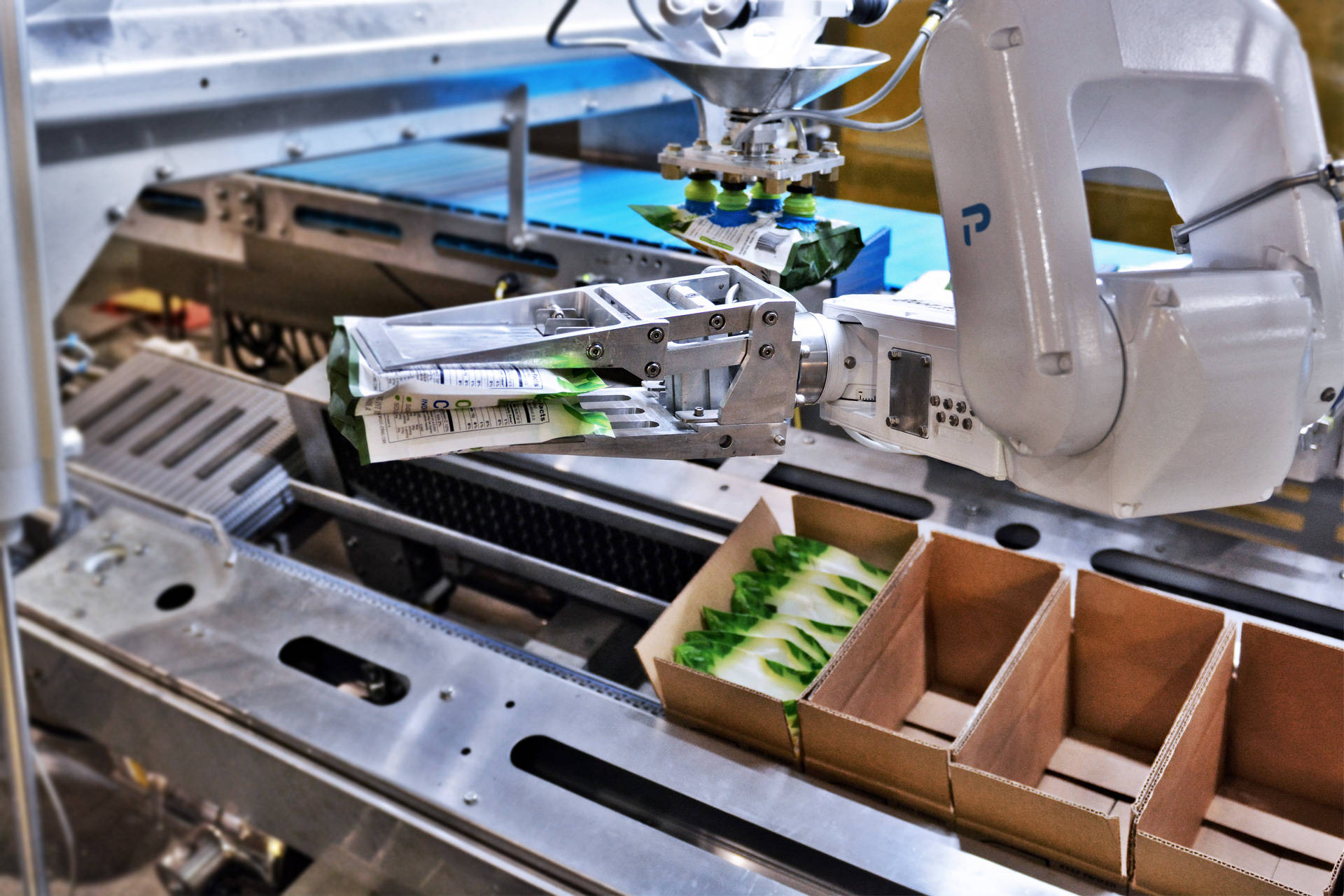 Robot packs pouches in cases