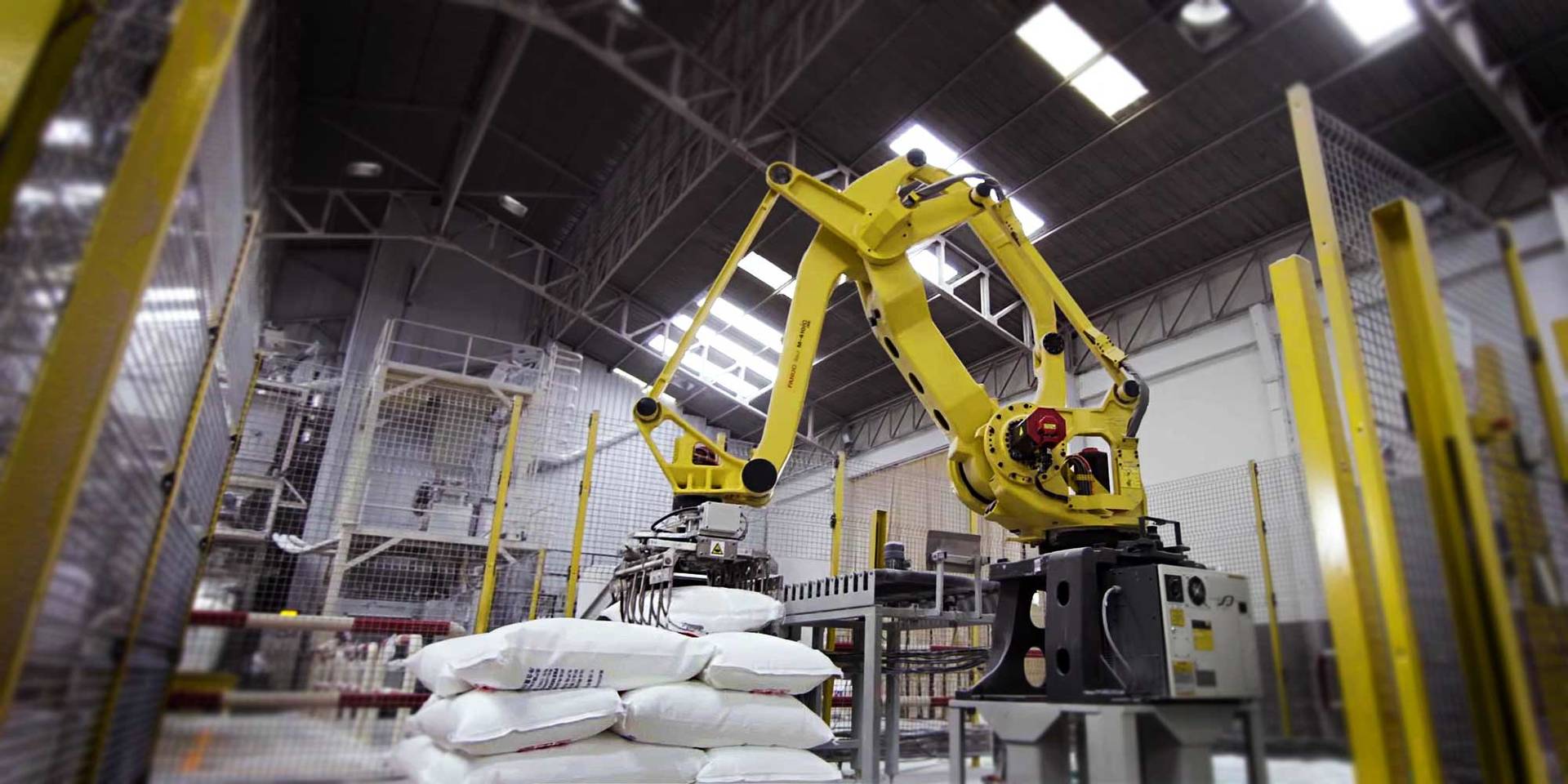 robotic-palletizer-RPL-Series-video-1_splashimage Robotic palletizer RPL Series floor view