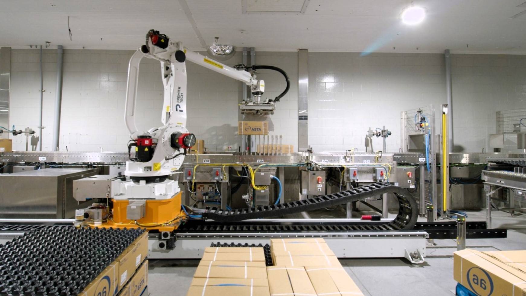 meats-proteins-palletizing-solution-video-splash Automated palletizing solution used in the protein industry